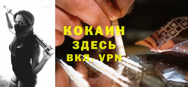 стафф Зерноград