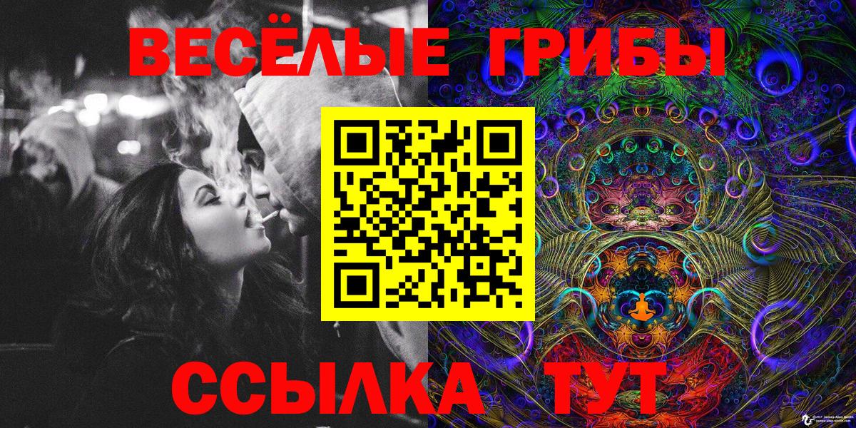 Псилоцибиновые грибы мицелий Зерноград