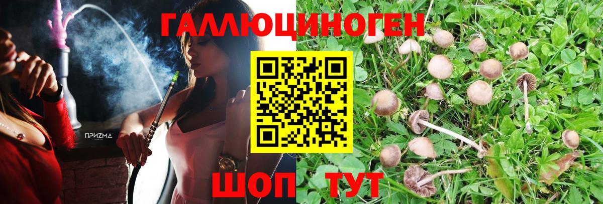 Зерноград  Псилоцибиновые грибы Magic Shrooms  Вход с VPN  Галлюциногенные грибы GOLDEN TEACHER 