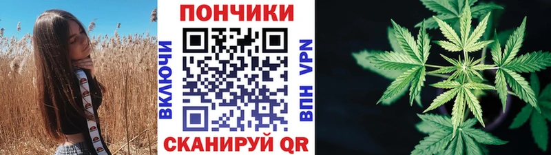 купить наркоту  Зерноград  Шишки марихуана SATIVA & INDICA 